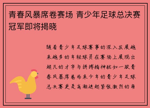 青春风暴席卷赛场 青少年足球总决赛冠军即将揭晓